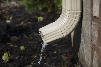 Prevent Water Damage and Mold Growth!